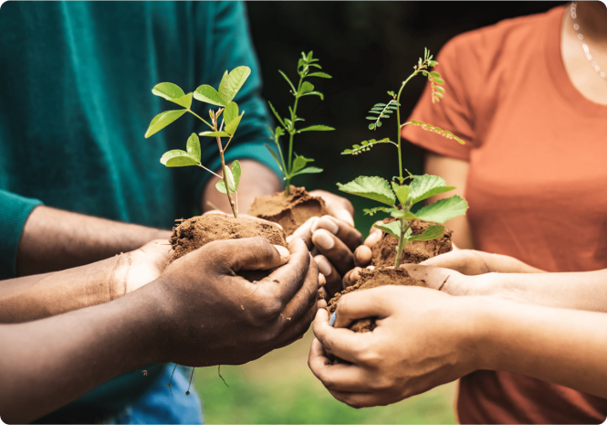 ENVIRONMENTAL SUSTAINABILITY environmental-sustainability