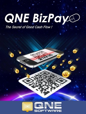 Bizpay-accounting system