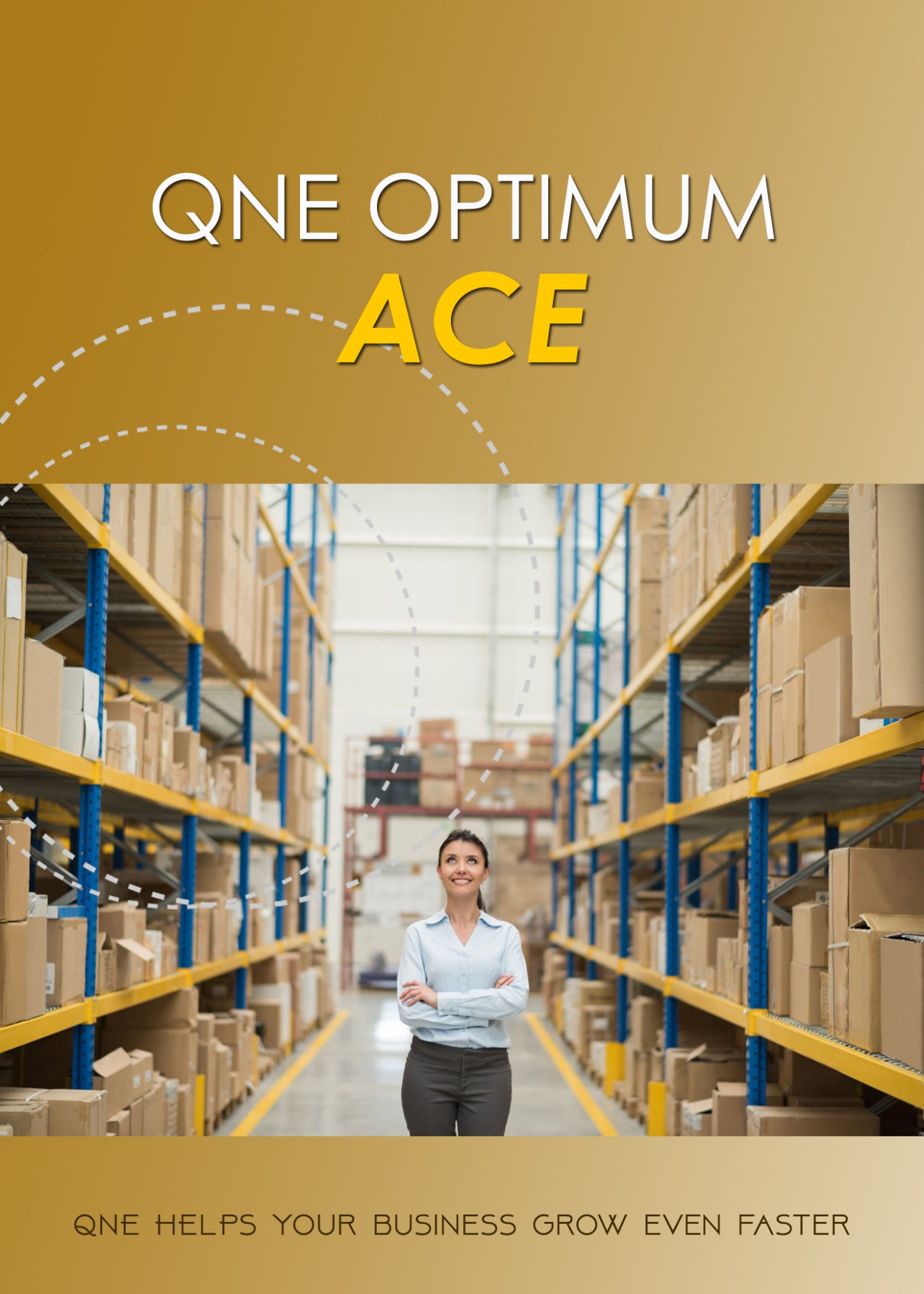 QNE Optimum Accounting System-Ace