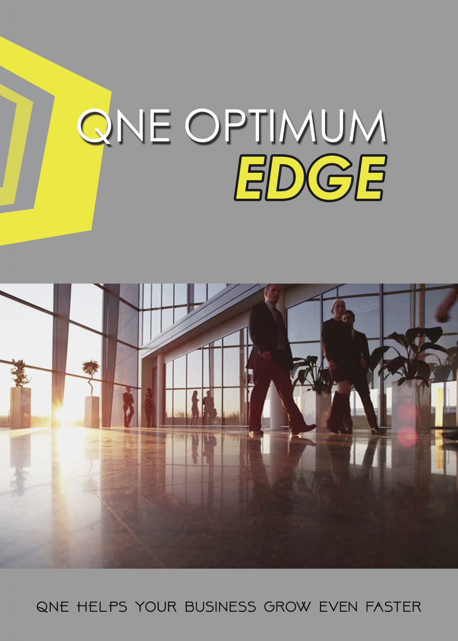 QNE Optimum Accounting Software-Edge