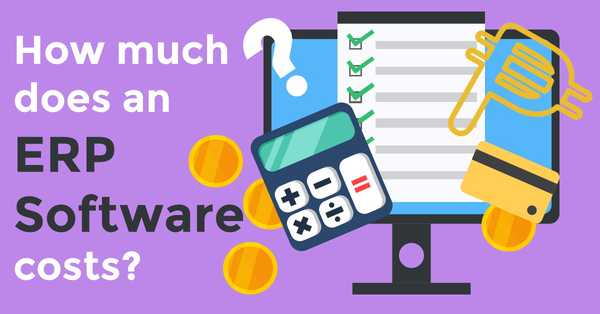 ERP Software Cost