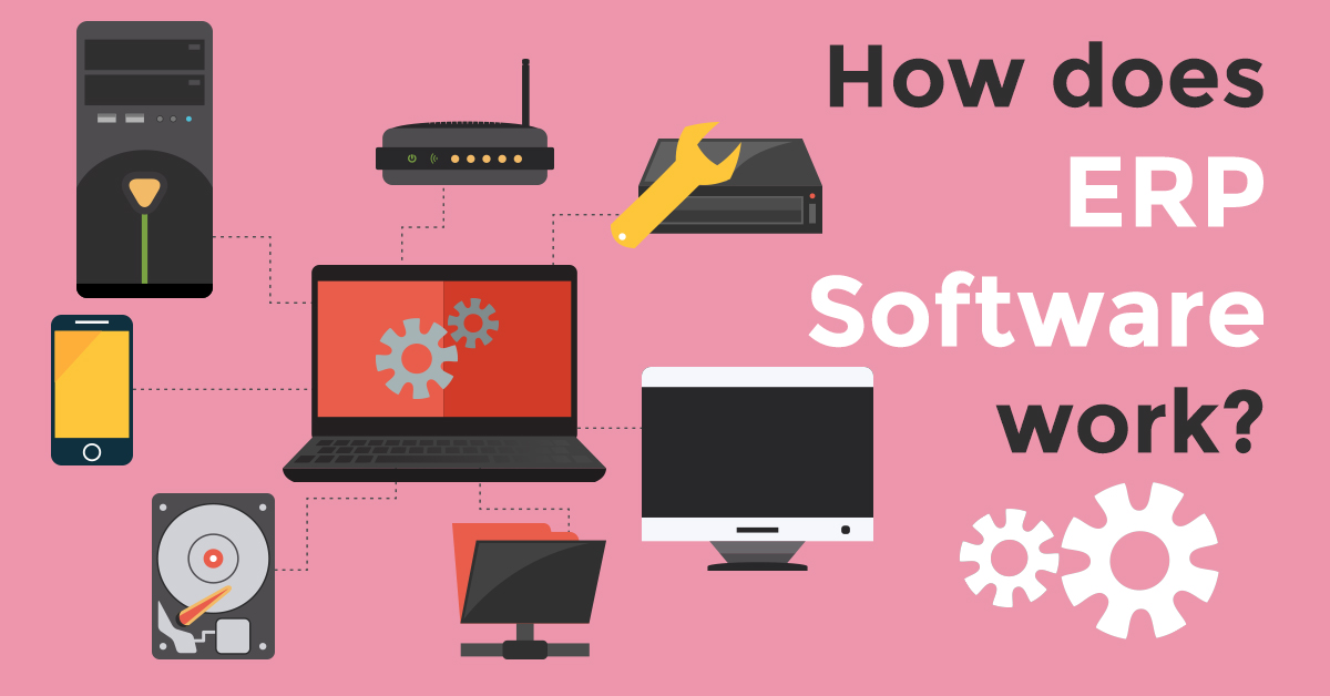 ERP Software Work