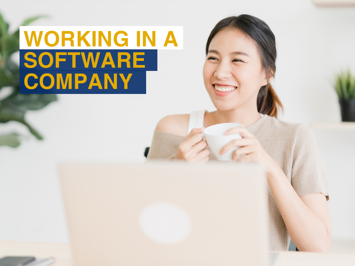 Working in a Software Company
