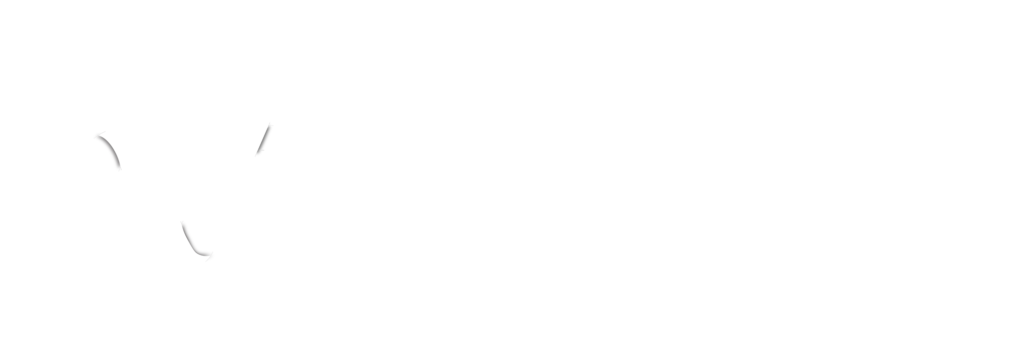 N3 AI Accounting Software Philippines