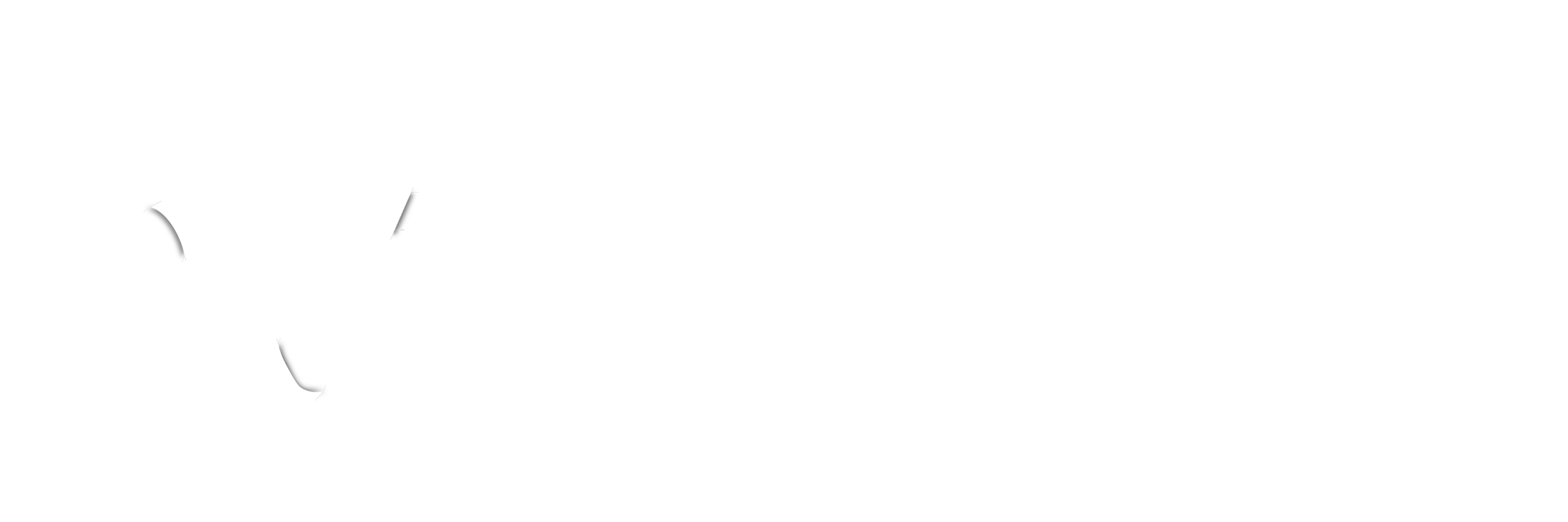 N3 AI Accounting Software