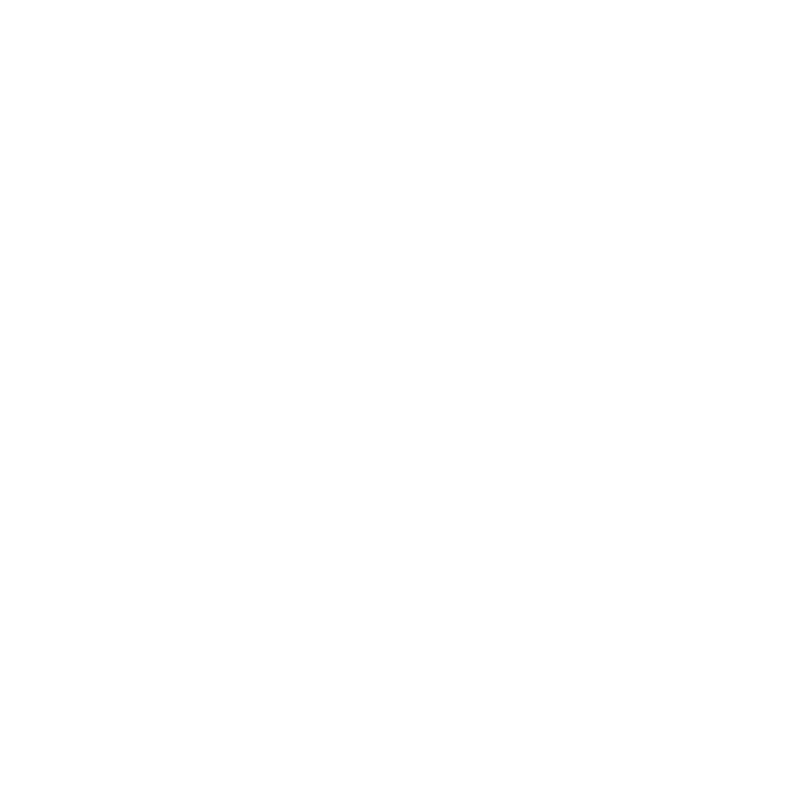 N3 AI Accounting