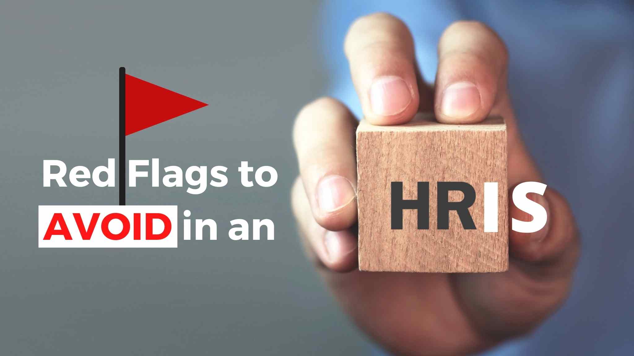 human resources information systems