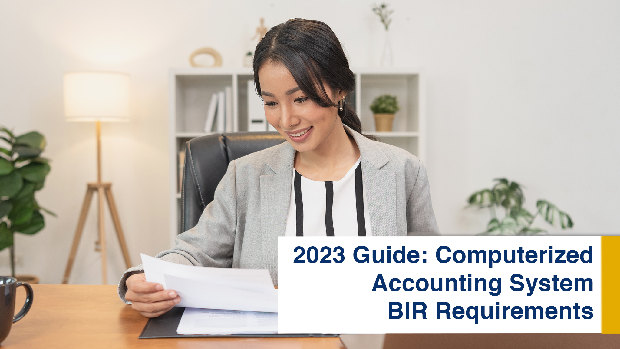 Computerized Accounting System BIR Requirements